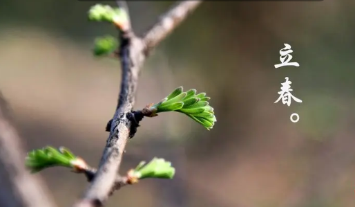立春以后多久最低温度能达到10度（立春之后得多少天天气才能升温）