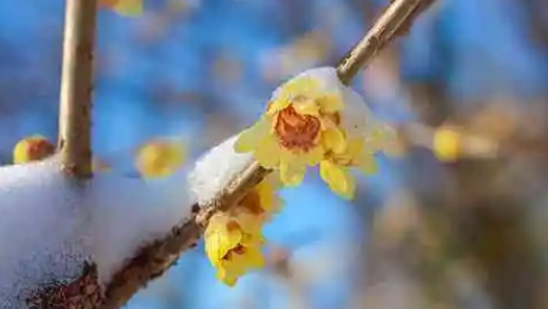 2024年六九天气还冷吗（六九后天气有什么变化）