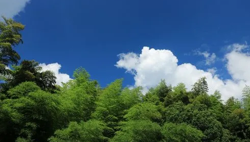 2024年北京3月份还冷吗(北京3月份天气怎么样) 2024年北京3月份还冷吗(北京3月份天气怎么样)