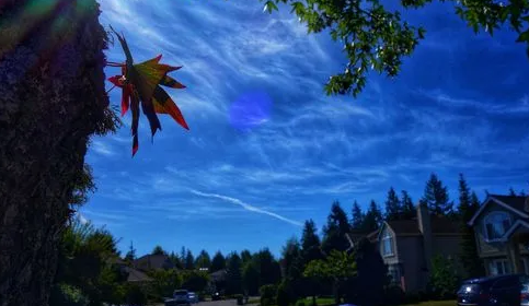 2024年春节后气温还会下降吗（​春节后还有冷空气吗）