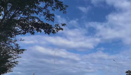 2024年清明过后还有倒春寒吗（清明过后气温什么时候回暖）