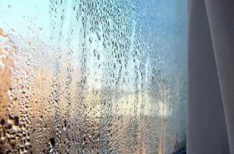 2024年武汉有没有回南天（武汉回南天墙壁上有水吗）