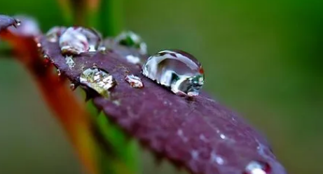 2024年上海梅雨季节是几月份（上海梅雨季节是几月份到几月份结束的）