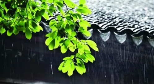 2024年武汉什么时候进入梅雨季（武汉梅雨季节什么时间过完）