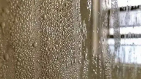 广东回南天几月到几月2024(广东什么时候才不会回南天) 广东回南天几月到几月2024(广东什么时候才不会回南天)