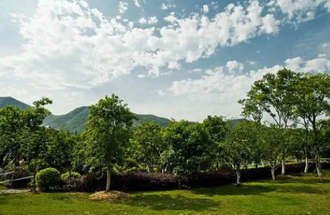 2024年清明过后还有倒春寒吗（清明过后气温什么时候回暖）