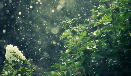 2024年北京5月份下雨多吗(北京哪个月下雨最多) 2024年北京5月份下雨多吗(北京哪个月下雨最多)