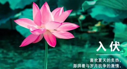 2024年入伏后天气越来越热吗(入伏后天气有什么变化) 2024年入伏后天气越来越热吗(入伏后天气有什么变化)