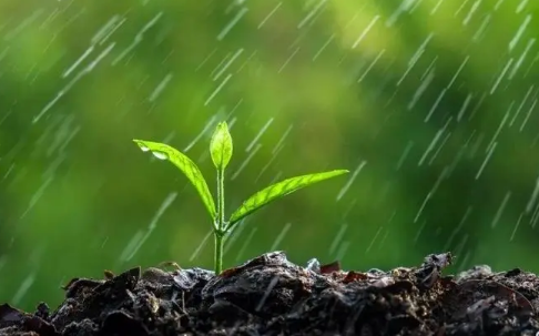 2024年北方是旱年还是涝年(2024年雨水大不大多不多) 2024年北方是旱年还是涝年(2024年雨水大不大多不多)