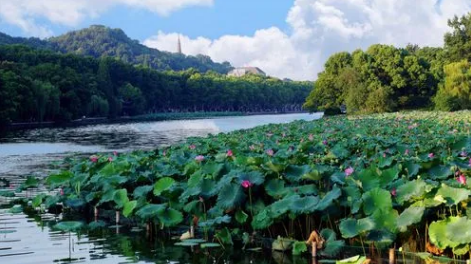 2024年夏天从什么时候开始算(哪个节气过后是夏天) 2024年夏天从什么时候开始算(哪个节气过后是夏天)