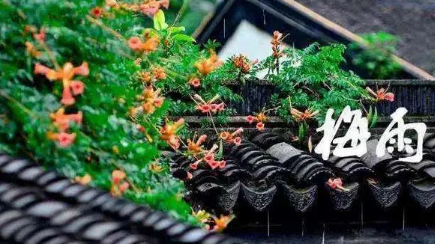 安徽今年会出现超长梅雨吗2024(今年安徽梅雨季节是什么时候) 安徽今年会出现超长梅雨吗2024(今年安徽梅雨季节是什么时候)