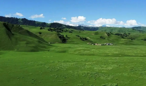 2024年五一去新疆适宜吗（五一去新疆旅游穿什么衣服）