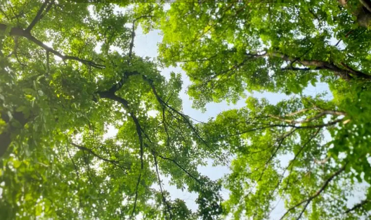 2024年夏天北京会热吗(北京夏天预计有多热) 2024年夏天北京会热吗(北京夏天预计有多热)