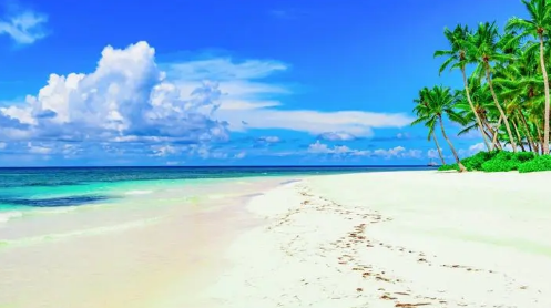 武汉今年什么时候入夏2024(武汉夏天是几月到几月) 武汉今年什么时候入夏2024(武汉夏天是几月到几月)