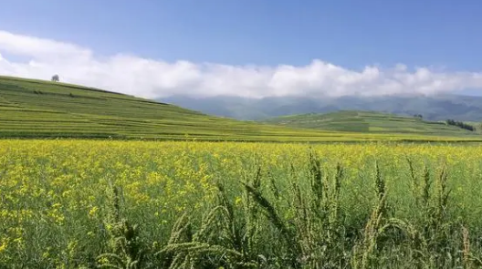 2024广东夏天什么时候开始(广东夏天有几个月) 2024广东夏天什么时候开始(广东夏天有几个月)