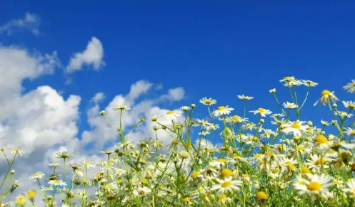 2024年五一过后还会冷吗（五一过后天气怎么样）