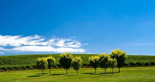 2024年北京夏天是几月到几月(北京什么时候进入夏天) 2024年北京夏天是几月到几月(北京什么时候进入夏天)