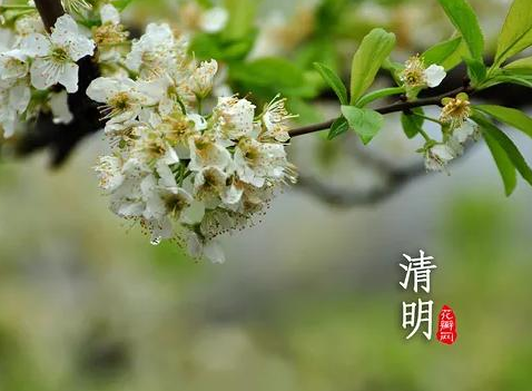 2024清明节哪天上坟最好（2024年清明节上坟最佳时间）