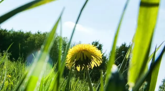 2024年北京5月份的温度大概是多少(北京5月份穿什么衣服合适) 2024年北京5月份的温度大概是多少(北京5月份穿什么衣服合适)