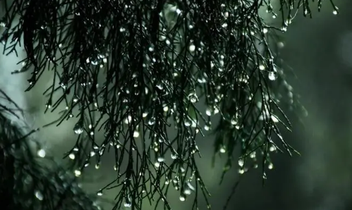 安徽今年会出现超长梅雨吗2024(今年安徽梅雨季节是什么时候) 安徽今年会出现超长梅雨吗2024(今年安徽梅雨季节是什么时候)