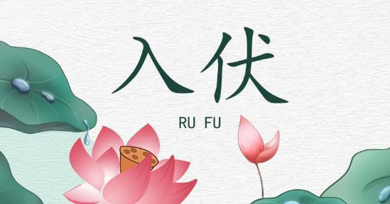 2024年入伏是母伏还是公伏（2024年入伏从哪一天开始）