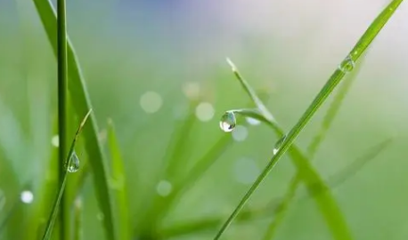 2024年北方是旱年还是涝年（2024年雨水大不大多不多）