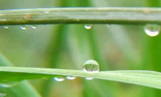 2024年北方是旱年还是涝年(2024年雨水大不大多不多) 2024年北方是旱年还是涝年(2024年雨水大不大多不多)