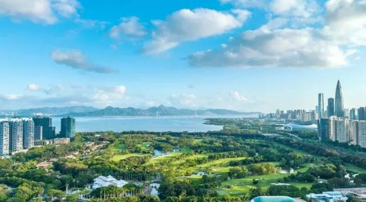 2024年深圳市七月份热还是八月份热（深圳夏季最热是几月）