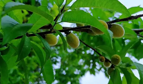 今年入夏时气温会升高吗2024(今年入夏时气温有什么变化) 今年入夏时气温会升高吗2024(今年入夏时气温有什么变化)