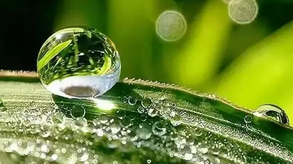 今年夏天我国的气温和往年比是偏高还是偏低2024（2024年夏天最高温预计有多少度）