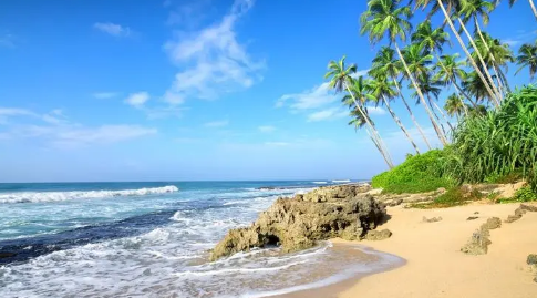 2024年北京夏天是几月到几月(北京什么时候进入夏天) 2024年北京夏天是几月到几月(北京什么时候进入夏天)